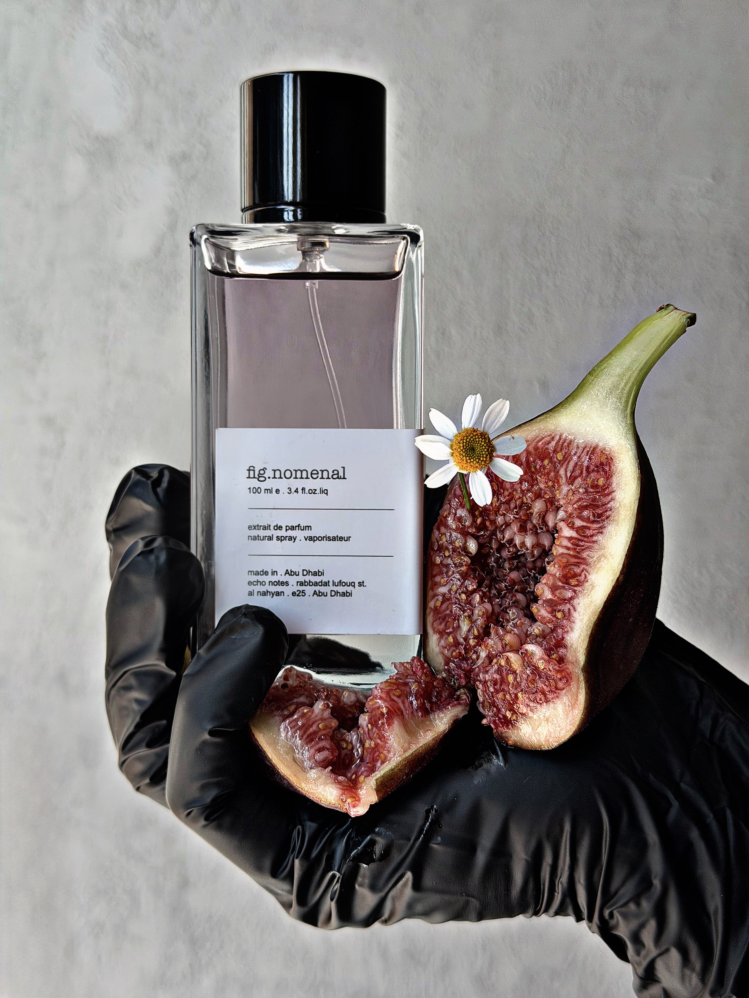 fig.nomenal